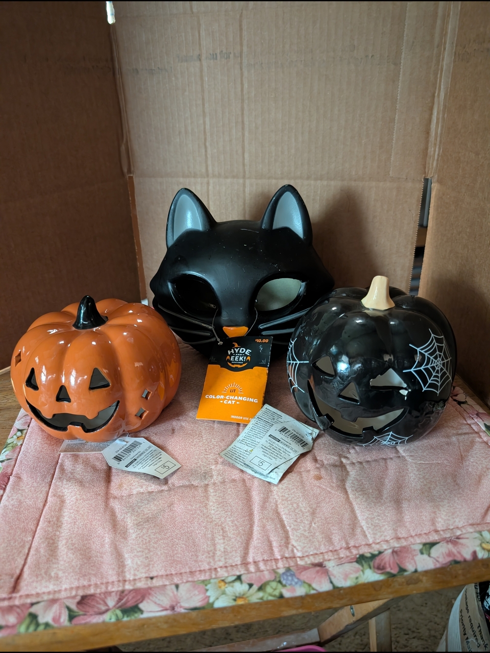 Color-Changing Black Cat and Pumpkin Halloween Set - Black & Orange